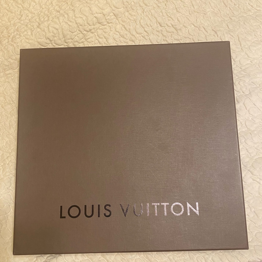 Louis Vuitton Medium Box
